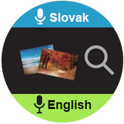 translator english slovak